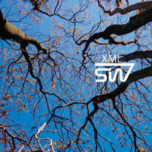 SIWEB XML